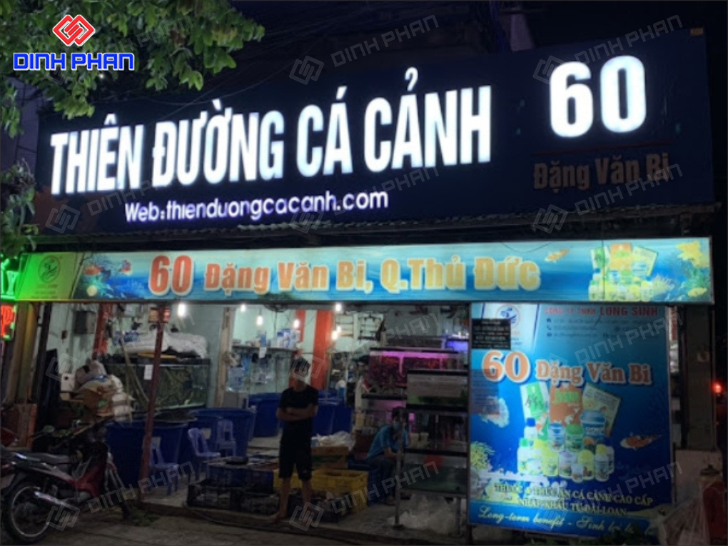 15+ Mẫu Bảng Hiệu Cá Cảnh Đẹp Mắt, Nổi Bật, Hút Khách 15+ Mẫu Bảng Hiệu Cá Cảnh Đẹp Mắt, Nổi Bật, Hút Khách