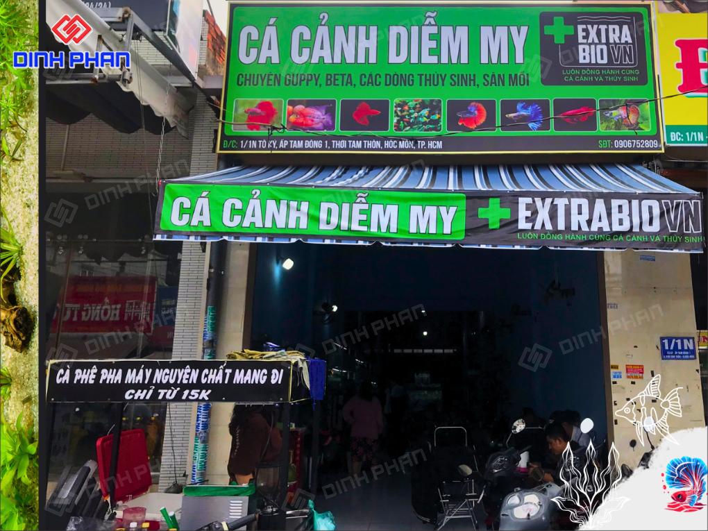 15+ Mẫu Bảng Hiệu Cá Cảnh Đẹp Mắt, Nổi Bật, Hút Khách 15+ Mẫu Bảng Hiệu Cá Cảnh Đẹp Mắt, Nổi Bật, Hút Khách