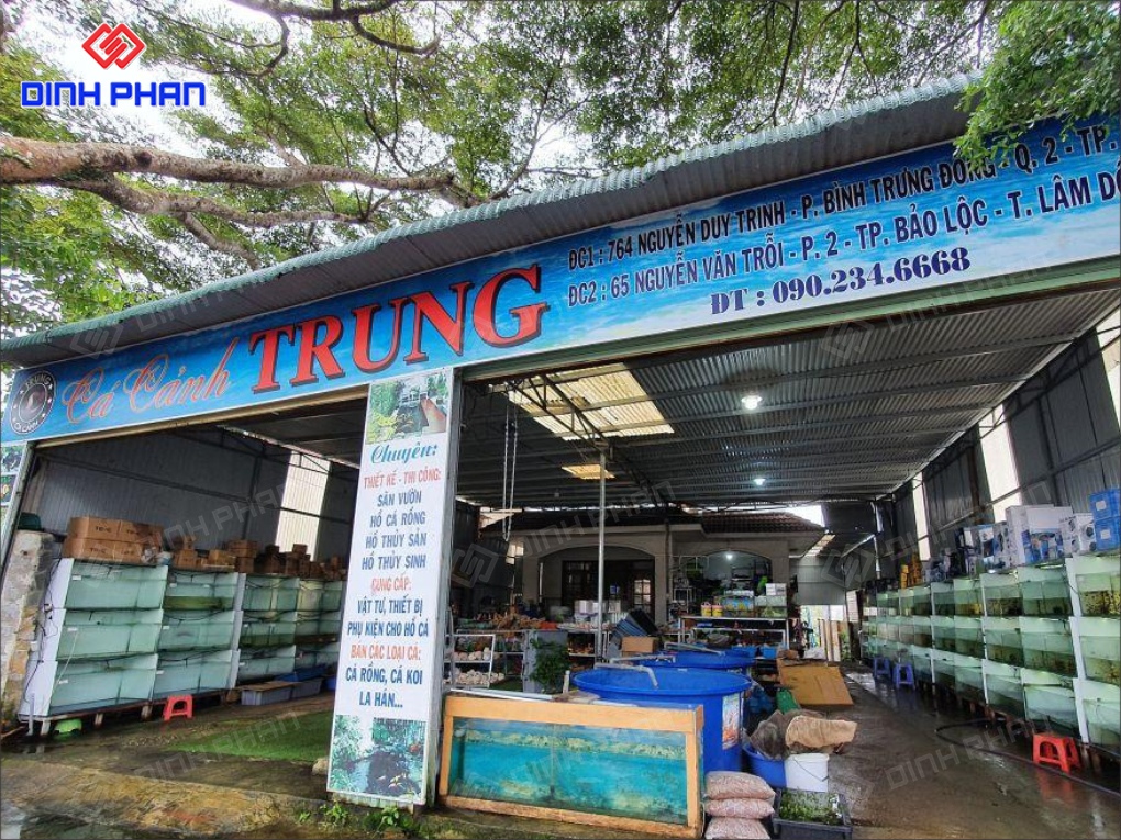 15+ Mẫu Bảng Hiệu Cá Cảnh Đẹp Mắt, Nổi Bật, Hút Khách 15+ Mẫu Bảng Hiệu Cá Cảnh Đẹp Mắt, Nổi Bật, Hút Khách