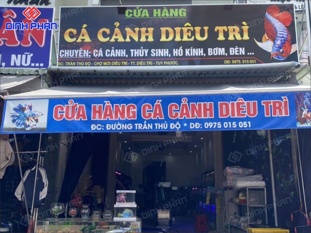 15+ Mẫu Bảng Hiệu Cá Cảnh Đẹp Mắt, Nổi Bật, Hút Khách 15+ Mẫu Bảng Hiệu Cá Cảnh Đẹp Mắt, Nổi Bật, Hút Khách