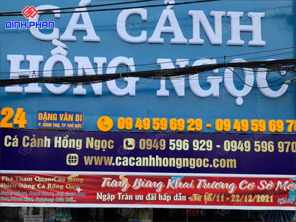15+ Mẫu Bảng Hiệu Cá Cảnh Đẹp Mắt, Nổi Bật, Hút Khách 15+ Mẫu Bảng Hiệu Cá Cảnh Đẹp Mắt, Nổi Bật, Hút Khách