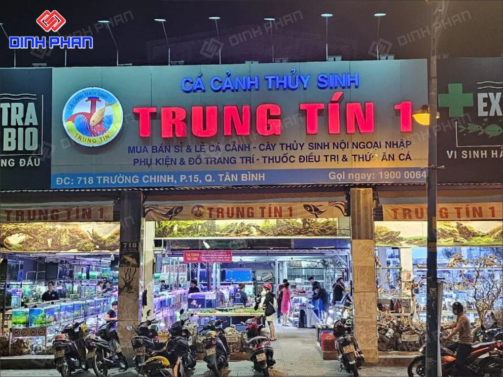 15+ Mẫu Bảng Hiệu Cá Cảnh Đẹp Mắt, Nổi Bật, Hút Khách 15+ Mẫu Bảng Hiệu Cá Cảnh Đẹp Mắt, Nổi Bật, Hút Khách