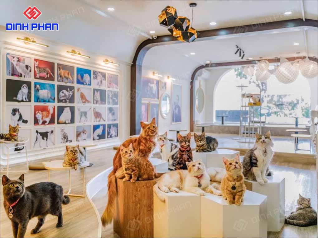 Thiết Kế Pet Shop, Cửa Hàng Thú Cưng Trọn Gói, Nổi Bật Thiết Kế Pet Shop, Cửa Hàng Thú Cưng Trọn Gói, Nổi Bật