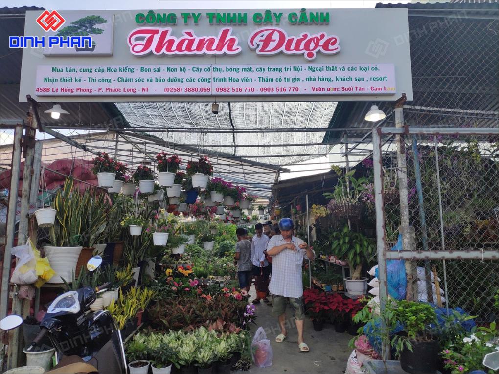 10+ Mẫu Bảng Hiệu Cây Cảnh Đẹp Mắt, Hút Khách 10+ Mẫu Bảng Hiệu Cây Cảnh Đẹp Mắt, Hút Khách