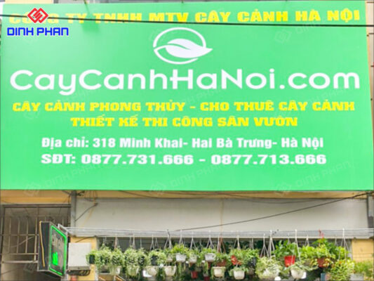 10+ Mẫu Bảng Hiệu Cây Cảnh Đẹp Mắt, Hút Khách