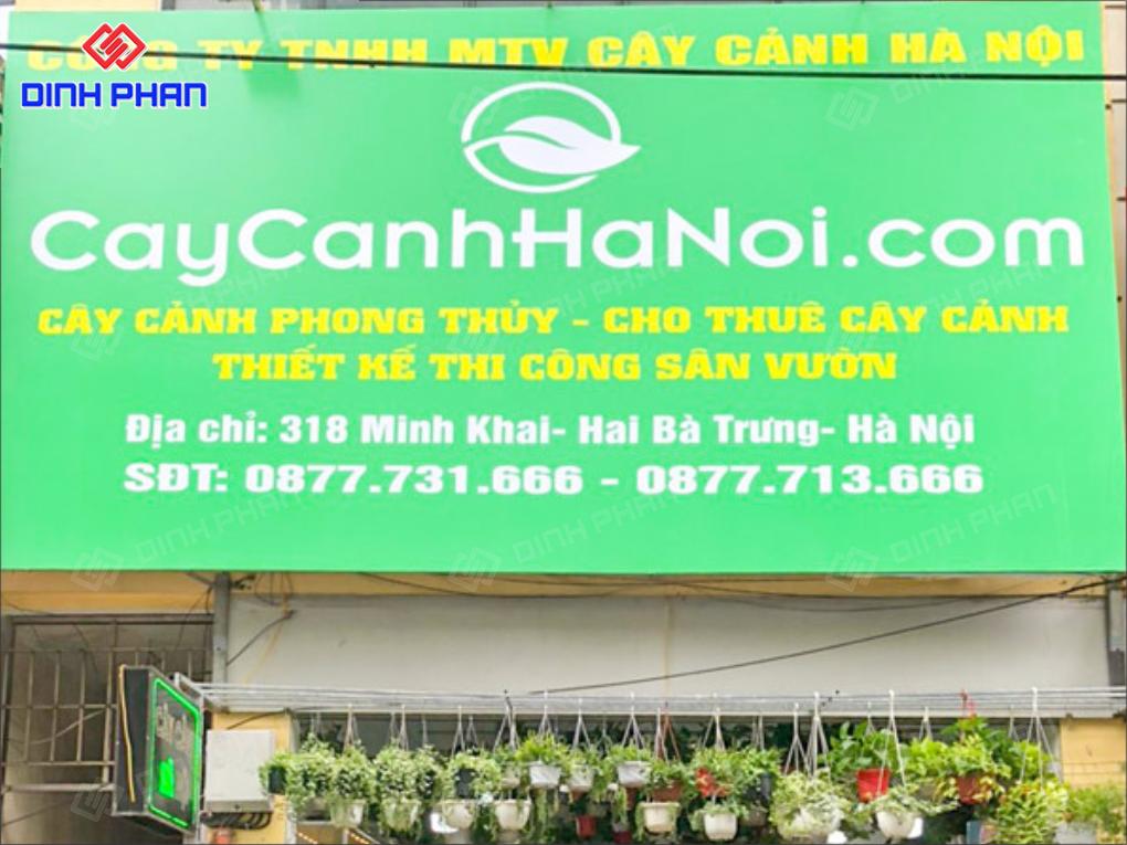 10+ Mẫu Bảng Hiệu Cây Cảnh Đẹp Mắt, Hút Khách