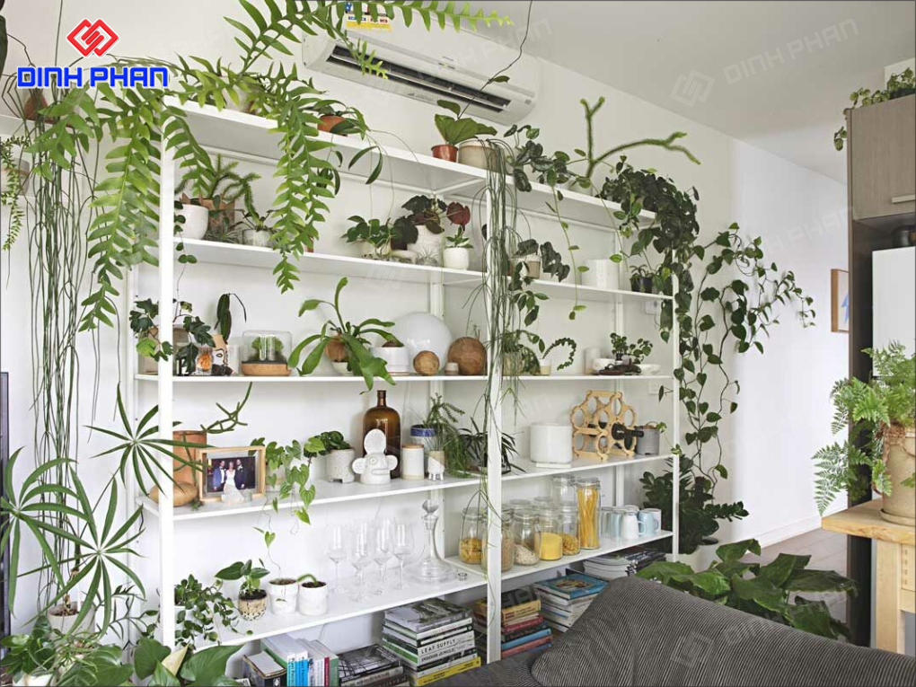 20+ Mẫu Thiết Kế Cửa Hàng Cây Cảnh Mini Hiện Đại, Hút Mắt 20+ Mẫu Thiết Kế Cửa Hàng Cây Cảnh Mini Hiện Đại, Hút Mắt