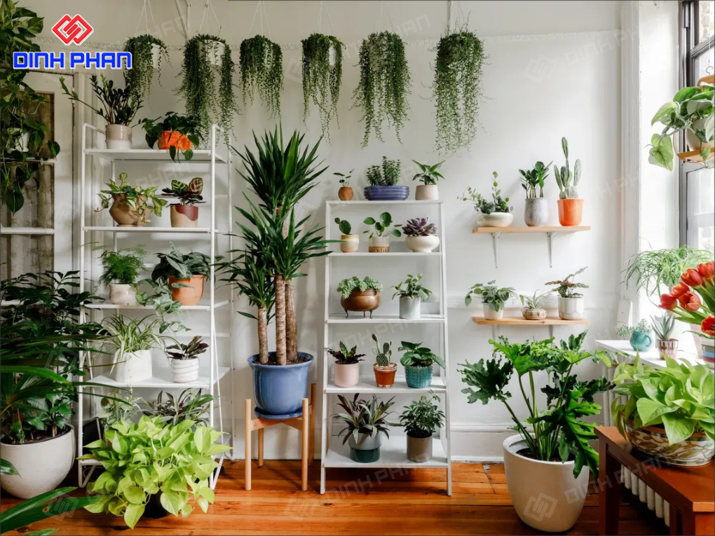 20+ Mẫu Thiết Kế Cửa Hàng Cây Cảnh Mini Hiện Đại, Hút Mắt 20+ Mẫu Thiết Kế Cửa Hàng Cây Cảnh Mini Hiện Đại, Hút Mắt