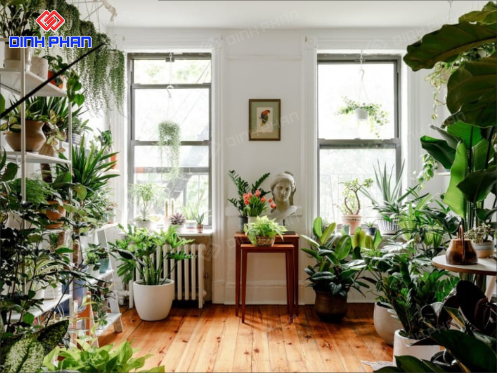20+ Mẫu Thiết Kế Cửa Hàng Cây Cảnh Mini Hiện Đại, Hút Mắt 20+ Mẫu Thiết Kế Cửa Hàng Cây Cảnh Mini Hiện Đại, Hút Mắt