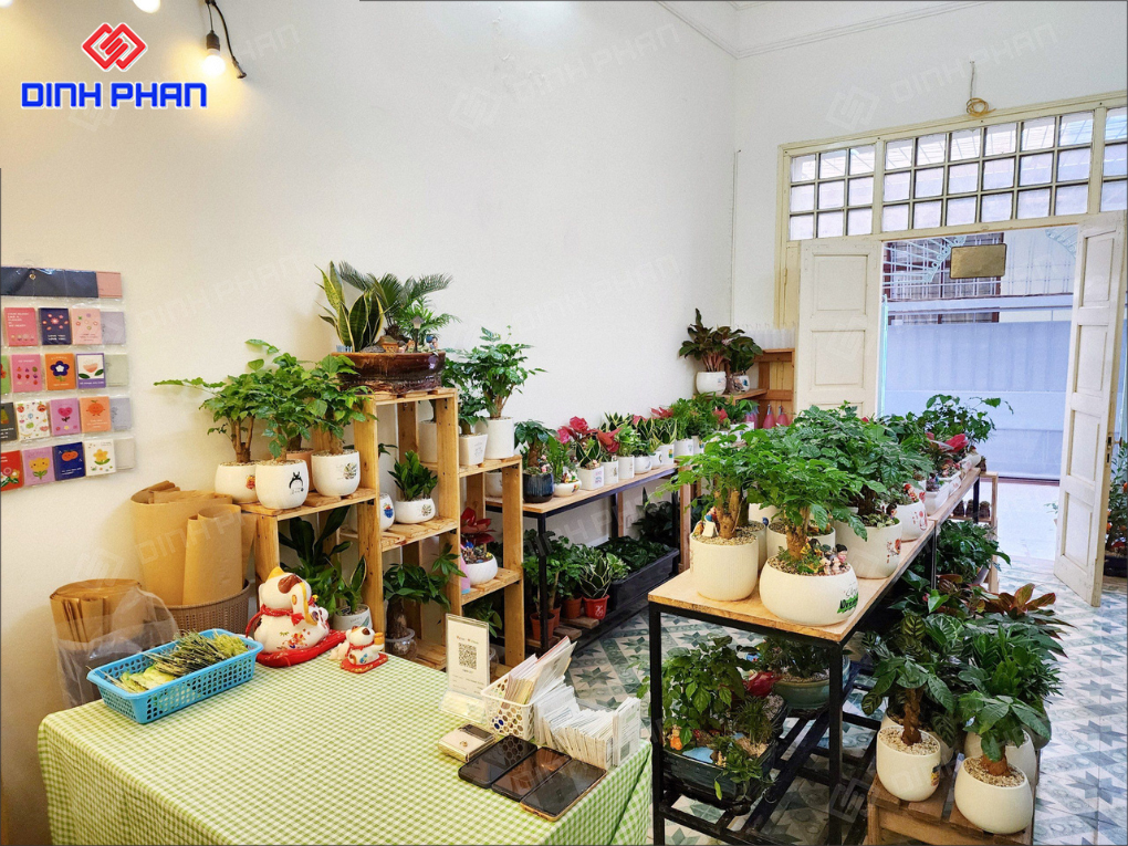 20+ Mẫu Thiết Kế Cửa Hàng Cây Cảnh Mini Hiện Đại, Hút Mắt 20+ Mẫu Thiết Kế Cửa Hàng Cây Cảnh Mini Hiện Đại, Hút Mắt