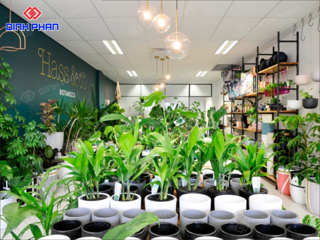 20+ Mẫu Thiết Kế Cửa Hàng Cây Cảnh Mini Hiện Đại, Hút Mắt 20+ Mẫu Thiết Kế Cửa Hàng Cây Cảnh Mini Hiện Đại, Hút Mắt
