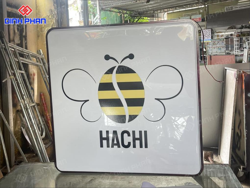 bien vay hop den vuong 3