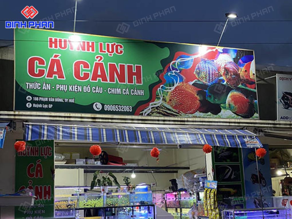 Kích thước bảng hiệu cửa hàng cá cảnh bao nhiêu? Bảng hiệu cửa hàng cá cảnh