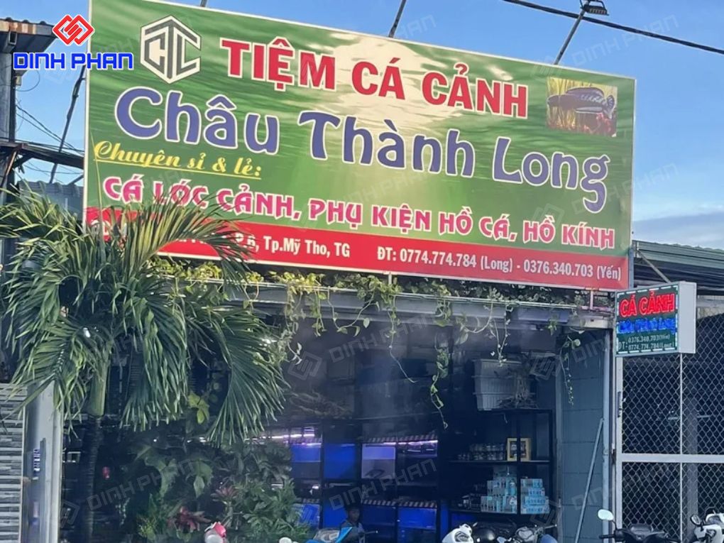 Kích thước bảng hiệu cửa hàng cá cảnh bao nhiêu? Bảng hiệu cửa hàng cá cảnh