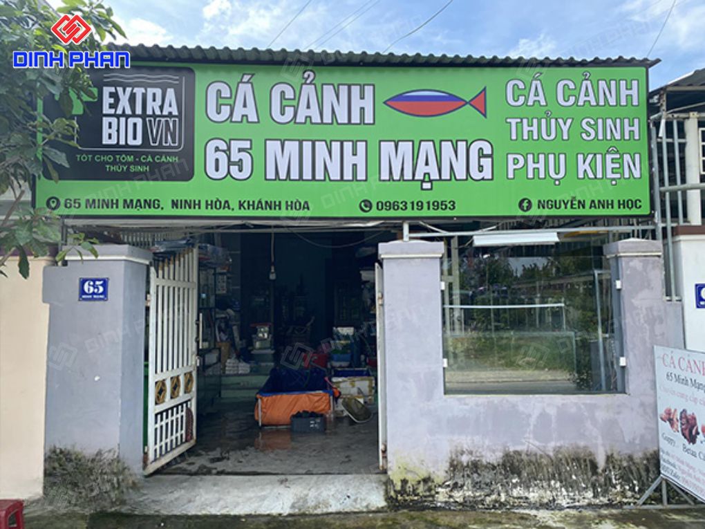 Kích thước bảng hiệu cửa hàng cá cảnh bao nhiêu? Bảng hiệu cửa hàng cá cảnh