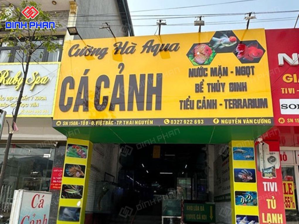 Kích thước bảng hiệu cửa hàng cá cảnh bao nhiêu? Bảng hiệu cửa hàng cá cảnh