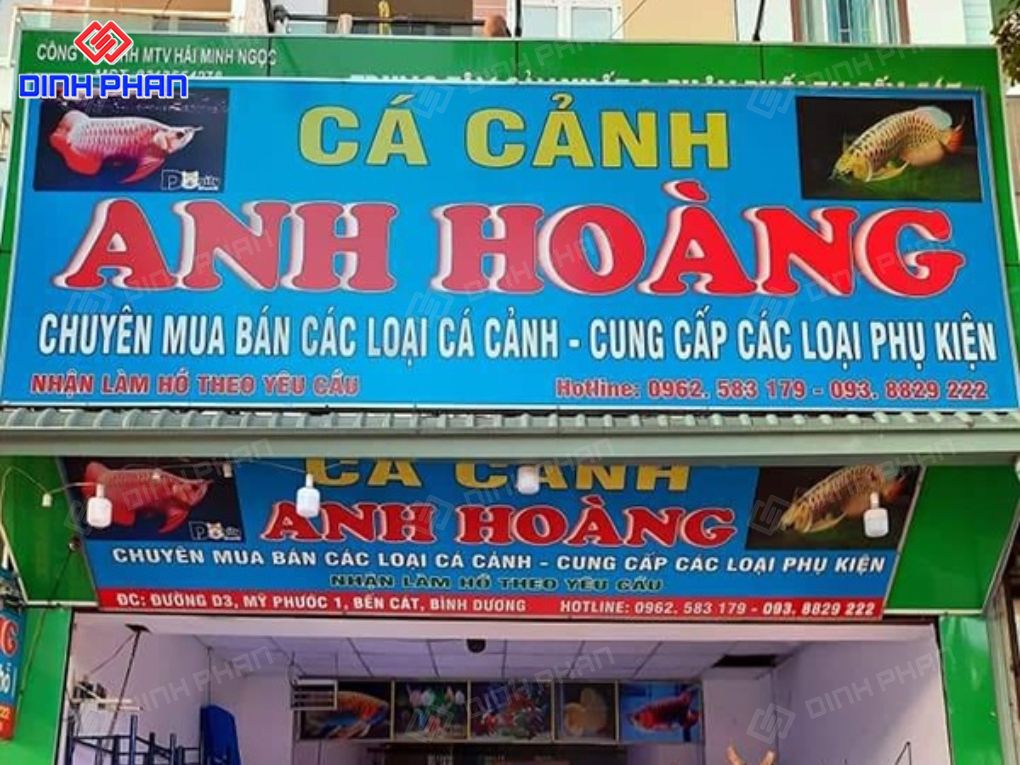 Kích thước bảng hiệu cửa hàng cá cảnh bao nhiêu? Bảng hiệu cửa hàng cá cảnh